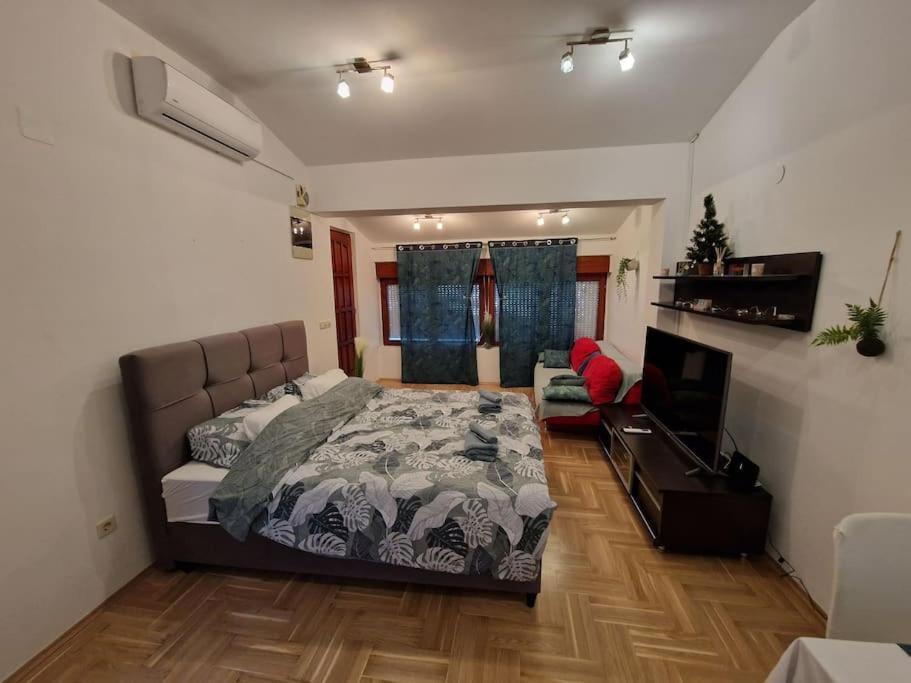 Warm House Full Of Green Ambient,Joy And Comfort زغرب المظهر الخارجي الصورة